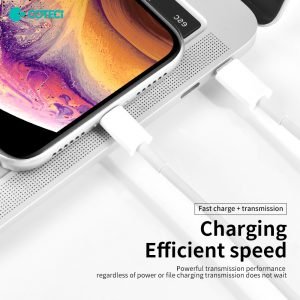 COTECi PD Fast charging cable Type C to Lightning (Iphone)