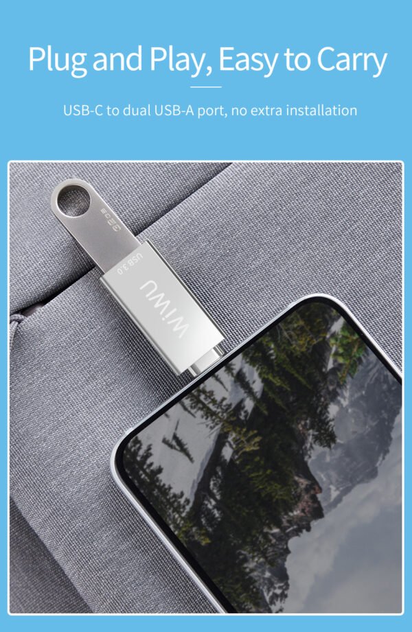 WiWU T02 USB Type-C HUB With 2 USB